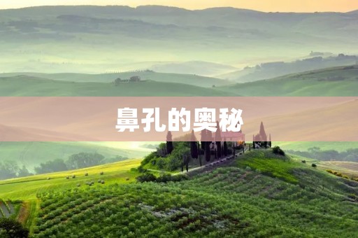 鼻孔的奥秘:探索人类嗅觉的神奇世界 鼻孔的奥秘:探索人类嗅觉的神奇世界