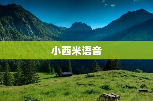 小西米语音：打造智能生活，畅享无限可能