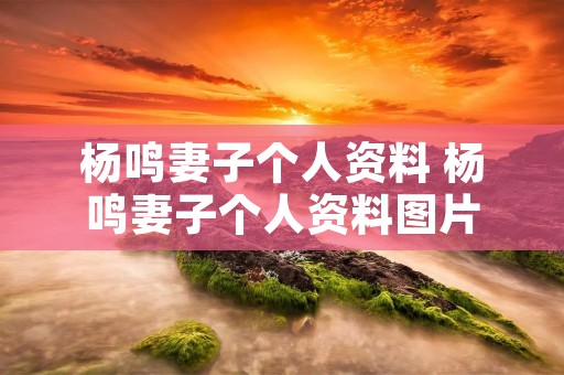 杨鸣妻子个人资料 杨鸣妻子个人资料图片