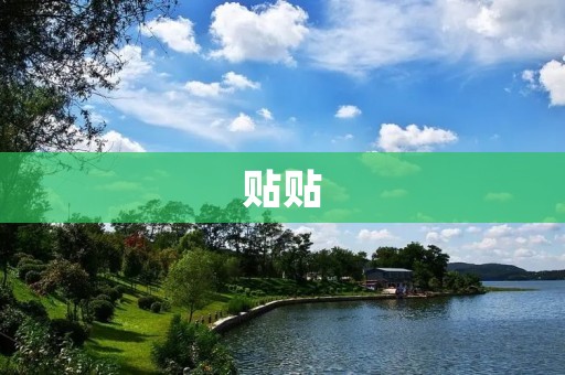 贴贴：让你的生活更加便利与有趣
