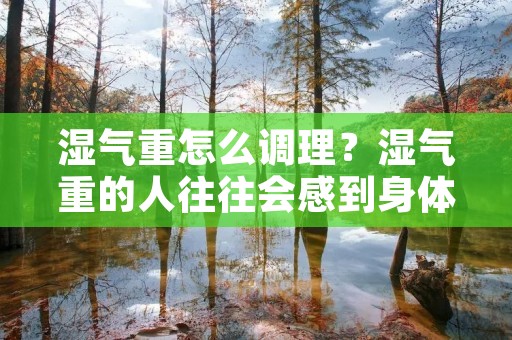 湿气重怎么调理？湿气重的人往往会感到身体沉重、四肢乏力、容易出汗、容易口干舌燥，甚至还可能伴随着湿疹、湿痰等症状。湿气重不仅会影响人的身体健康，还可能导致情绪低落、精神不振。那么，如何调理湿气重呢？下面就为大家介绍几种有效的方法。