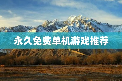 永久免费单机游戏推荐：让你玩到手软的精品游戏大全