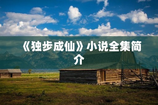 《独步成仙》小说全集简介