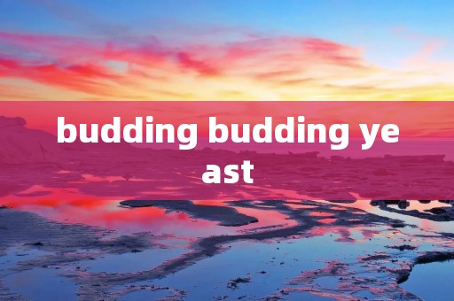 budding budding yeast