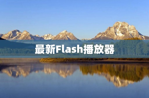 最新Flash播放器：让你的网页动画更流畅