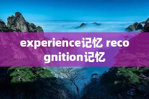 experience记忆 recognition记忆
