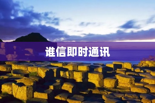 谁信即时通讯：连接世界的智慧纽带