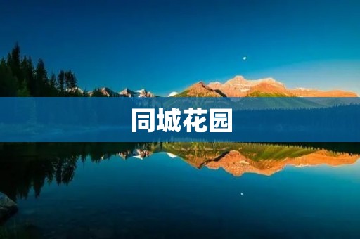 同城花园：城市中的绿色世界