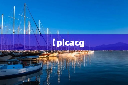 【picacg：让你的二次元世界更加精彩】