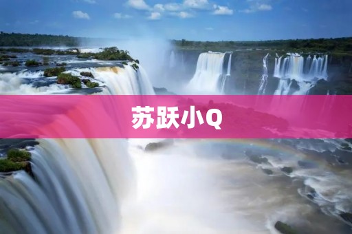 苏跃小Q：智能助手为你打开未来之门