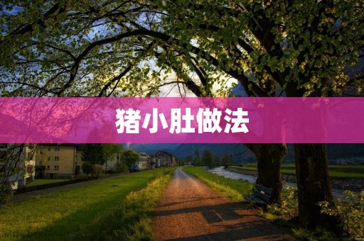 猪小肚做法:探寻美食世界中的独特风味 猪小肚做法:探寻美食世界中的独特风味