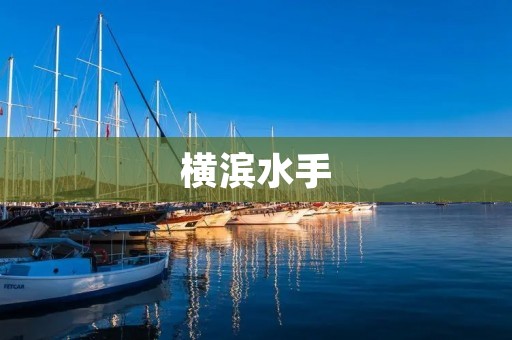 横滨水手:日本职业足球的璀璨明星 横滨水手:日本职业足球的璀璨明星