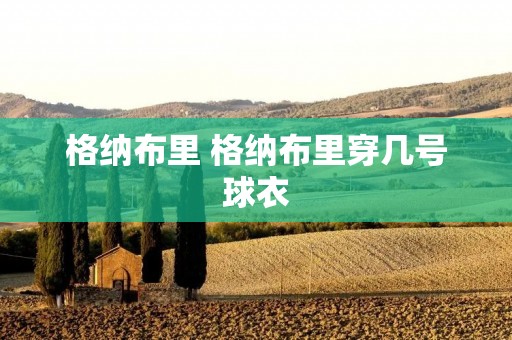 格纳布里 格纳布里穿几号球衣