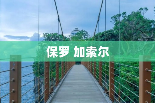 保罗 加索尔:西班牙篮球传奇 保罗 加索尔:西班牙篮球传奇