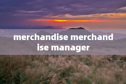 merchandise merchandise manager