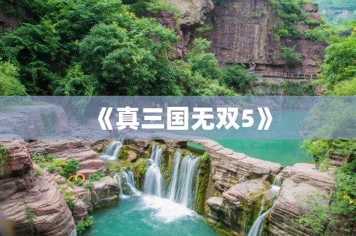 《真三国无双5》:三国战场再现,乱世英豪闯天下