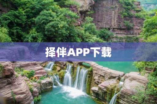 择伴APP下载：找到你的最佳伴侣