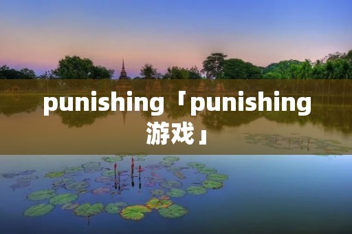 punishing「punishing游戏」