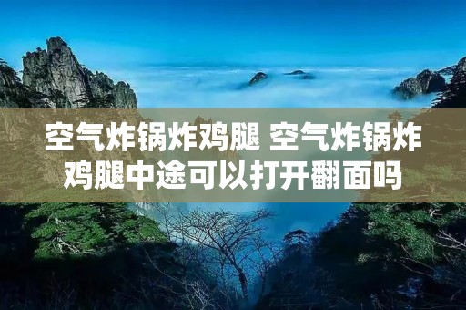 空气炸锅炸鸡腿 空气炸锅炸鸡腿中途可以打开翻面吗