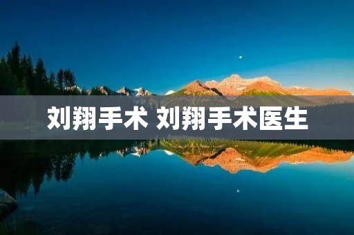 刘翔手术 刘翔手术医生 刘翔手术 刘翔手术医生