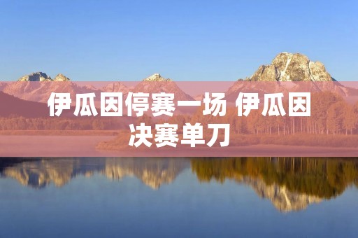 伊瓜因停赛一场 伊瓜因决赛单刀 伊瓜因停赛一场 伊瓜因决赛单刀