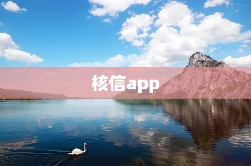 核信app：打造高效、安全的核查信用工具