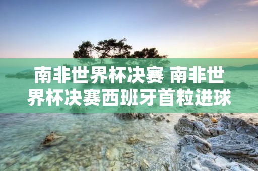 南非世界杯决赛 南非世界杯决赛西班牙首粒进球 南非世界杯决赛 南非世界杯决赛西班牙首粒进球