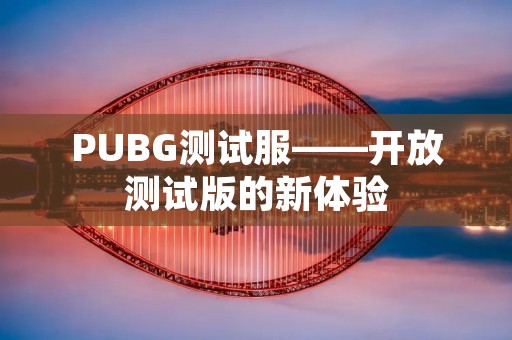 PUBG测试服——开放测试版的新体验 PUBG测试服——开放测试版的新体验