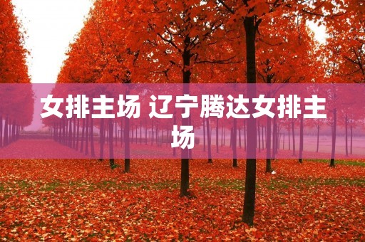 女排主场 辽宁腾达女排主场