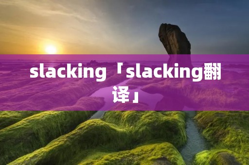 slacking「slacking翻译」