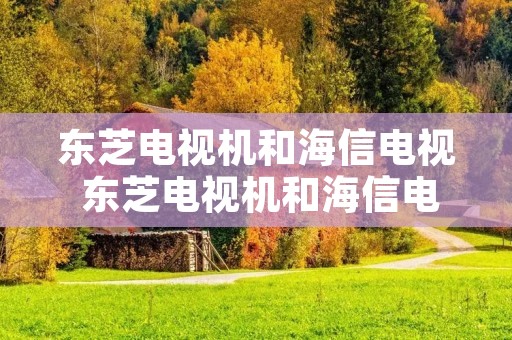 东芝电视机和海信电视 东芝电视机和海信电视机哪个好 东芝电视机和海信电视 东芝电视机和海信电视机哪个好