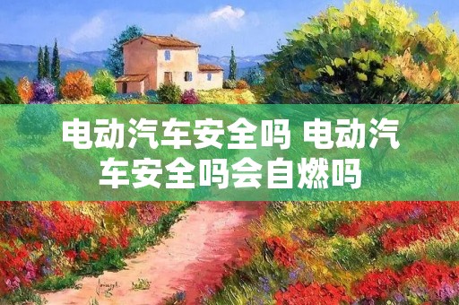 电动汽车安全吗 电动汽车安全吗会自燃吗