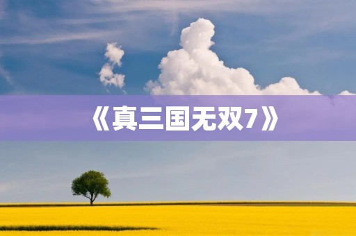 《真三国无双7》：最经典的三国战争游戏