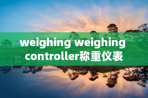 weighing weighing controller称重仪表