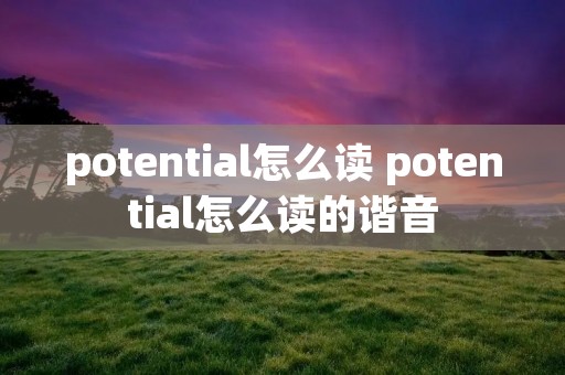 potential怎么读 potential怎么读的谐音
