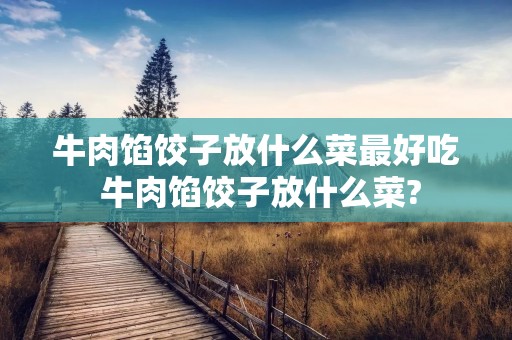牛肉馅饺子放什么菜最好吃 牛肉馅饺子放什么菜?
