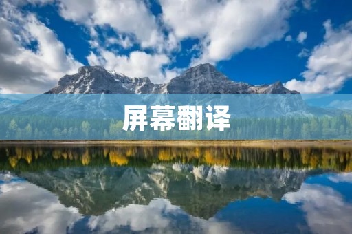 屏幕翻译：让语言不再成为障碍
