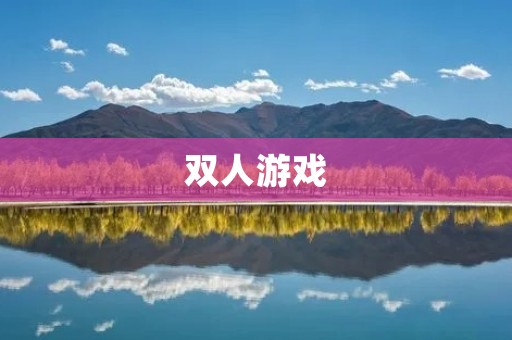 双人游戏:一起畅玩,一起成长