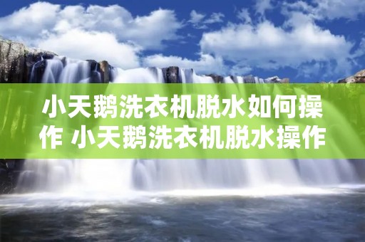 小天鹅洗衣机脱水如何操作 小天鹅洗衣机脱水操作步骤