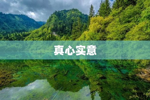 真心实意:用真情实意打动人心的故事