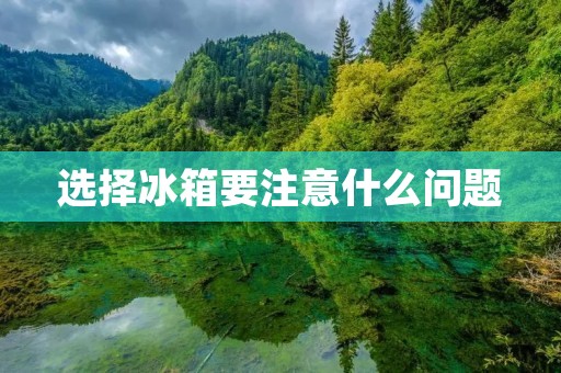 选择冰箱要注意什么问题