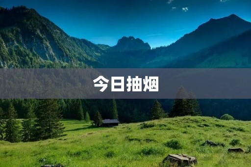 今日抽烟:探索现代人烟草消费的心理与社会背景