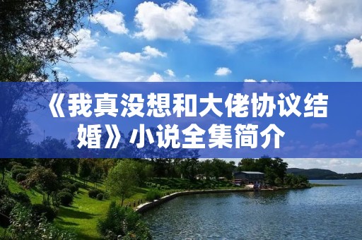 《我真没想和大佬协议结婚》小说全集简介