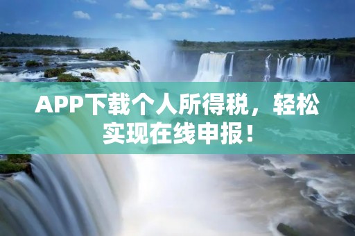 APP下载个人所得税，轻松实现在线申报！