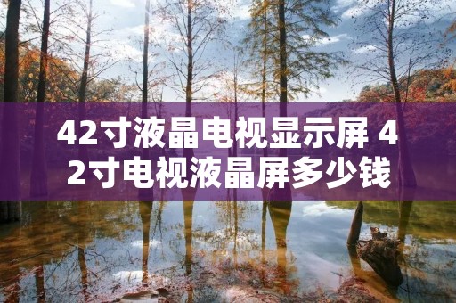 42寸液晶电视显示屏 42寸电视液晶屏多少钱 42寸液晶电视显示屏 42寸电视液晶屏多少钱