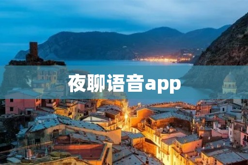 夜聊语音app：打破时间和空间的限制，畅享夜晚交流乐趣