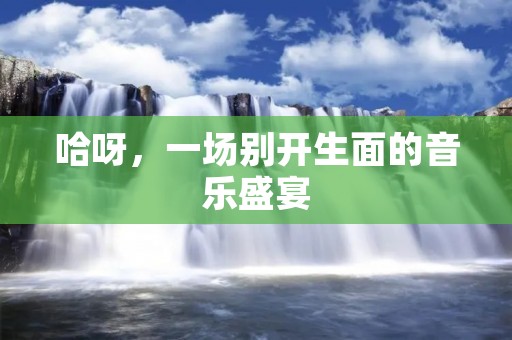 哈呀，一场别开生面的音乐盛宴