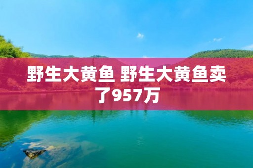 野生大黄鱼 野生大黄鱼卖了957万 野生大黄鱼 野生大黄鱼卖了957万
