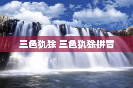 三色犰狳 三色犰狳拼音