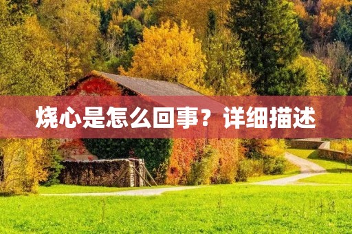 烧心是怎么回事？详细描述